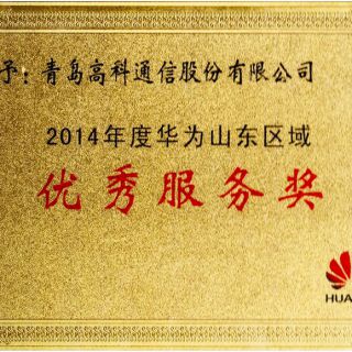 华为优秀服务奖